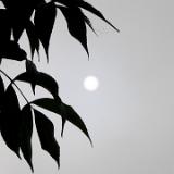 0510G 12 Sonne kommt 13Uhr